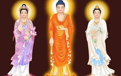 助念丨東營天寧寺7月9日助念培訓班3天